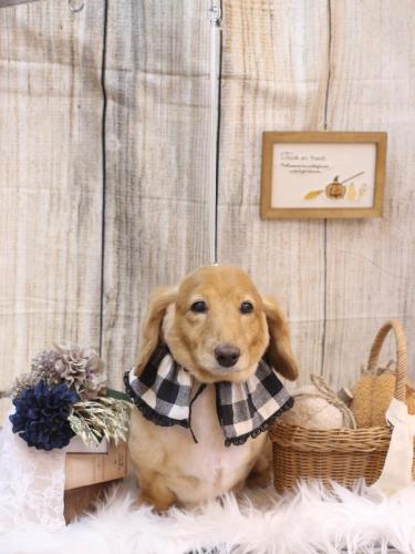 20241008レオンくん